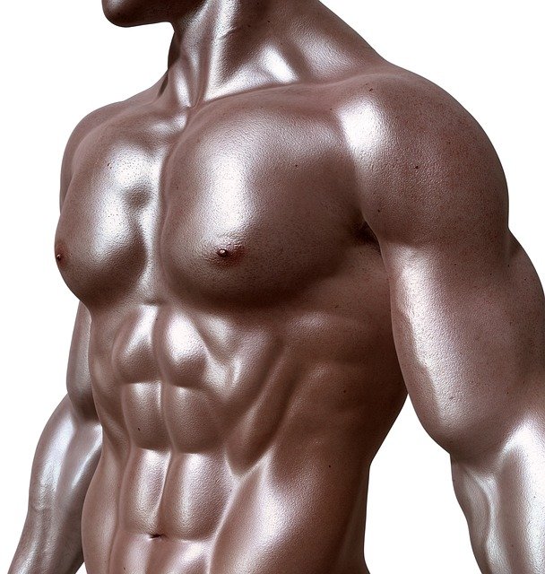 Proteinové jídlo? Co to vlastně je?